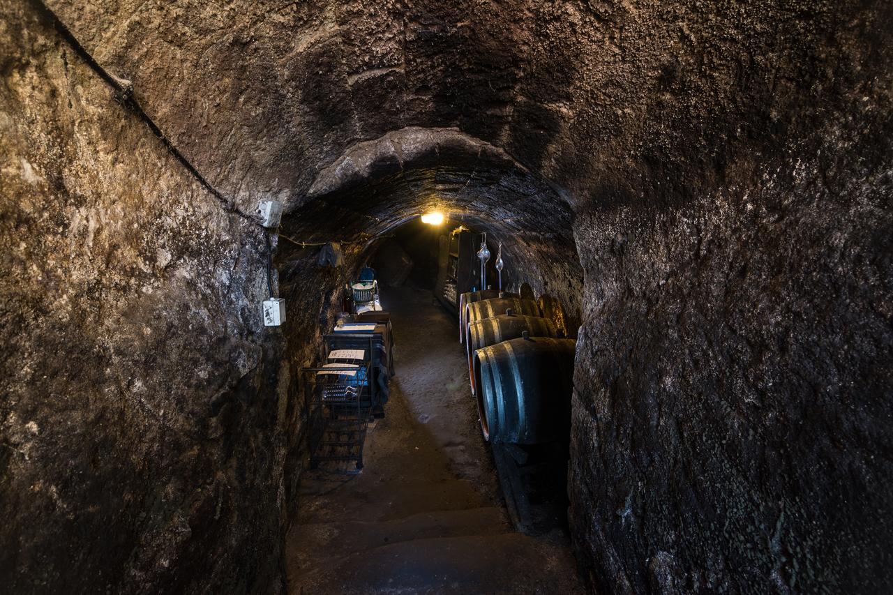 Vaskó Panzió Borpince Tokaj Exterior foto